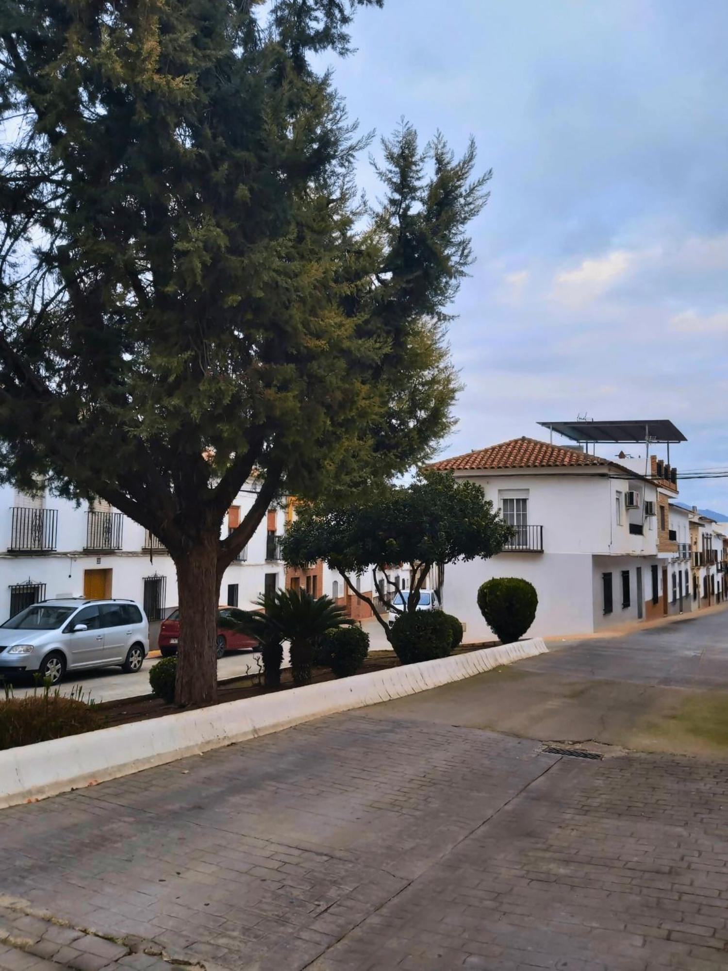 فيلا Arcadia Centro De Andalucia Encinas Reales المظهر الخارجي الصورة